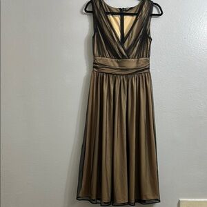 Cami International - sheer mesh whimsigoth Dress with empire waistline